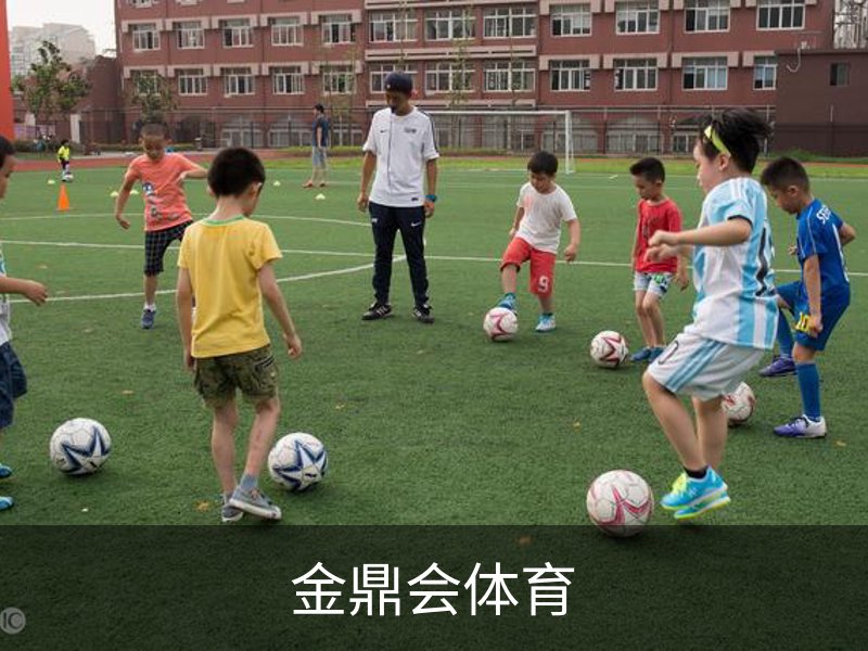 关于金鼎会体育